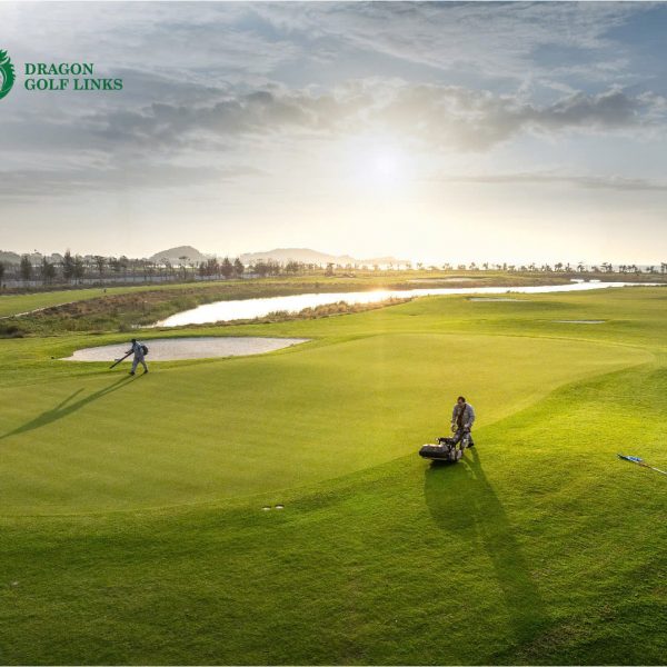 dragon golf links